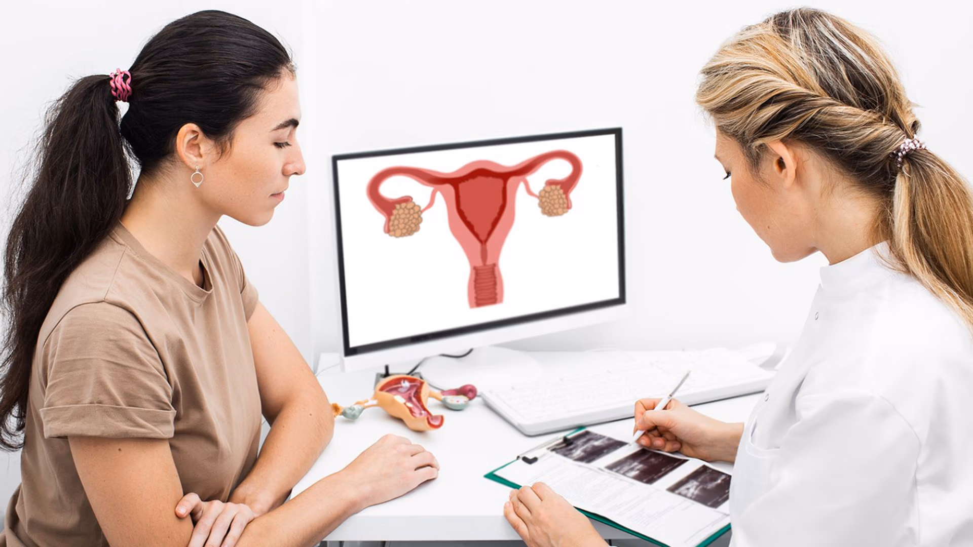 Fachkurs Endometriose Besprechung